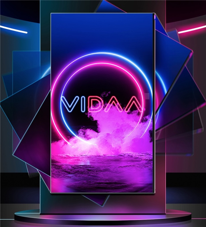 vidda.jpg